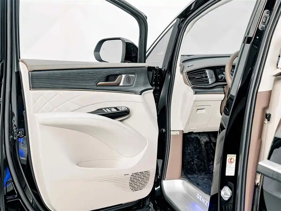 Denza Denza D9 — миниатюра 18