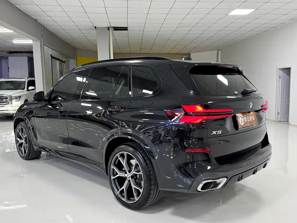 BMW X5 — миниатюра 7