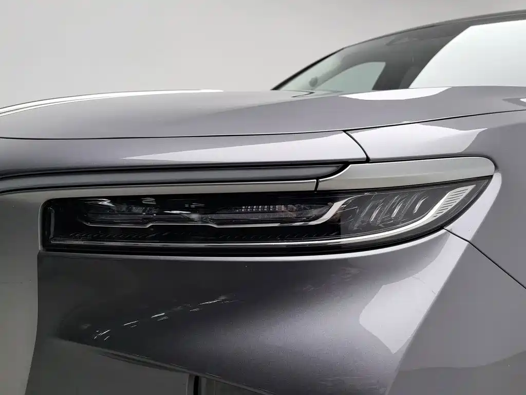 Hongqi Hongqi E-HS9 — миниатюра 7