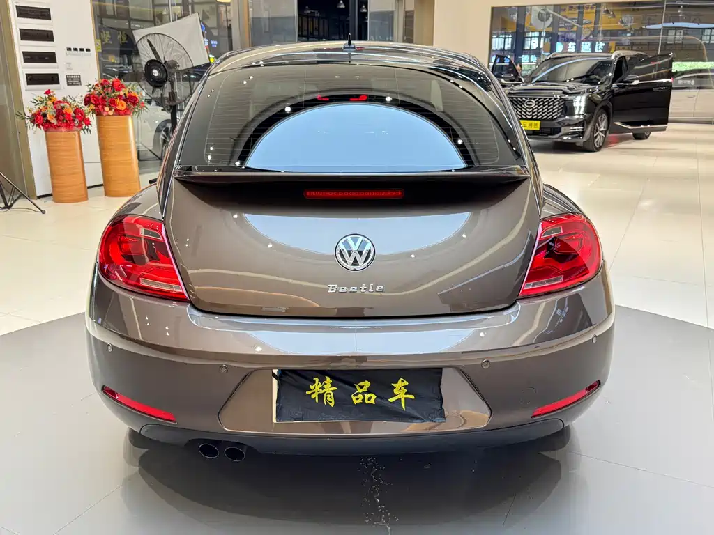 Volkswagen Beetle 280TSI, фото 6