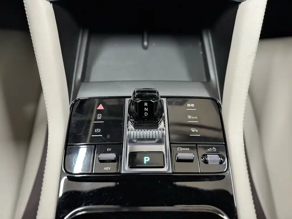 BYD SONGJIANG NEW ENERGY