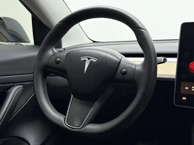 Tesla Model 3 — миниатюра 11