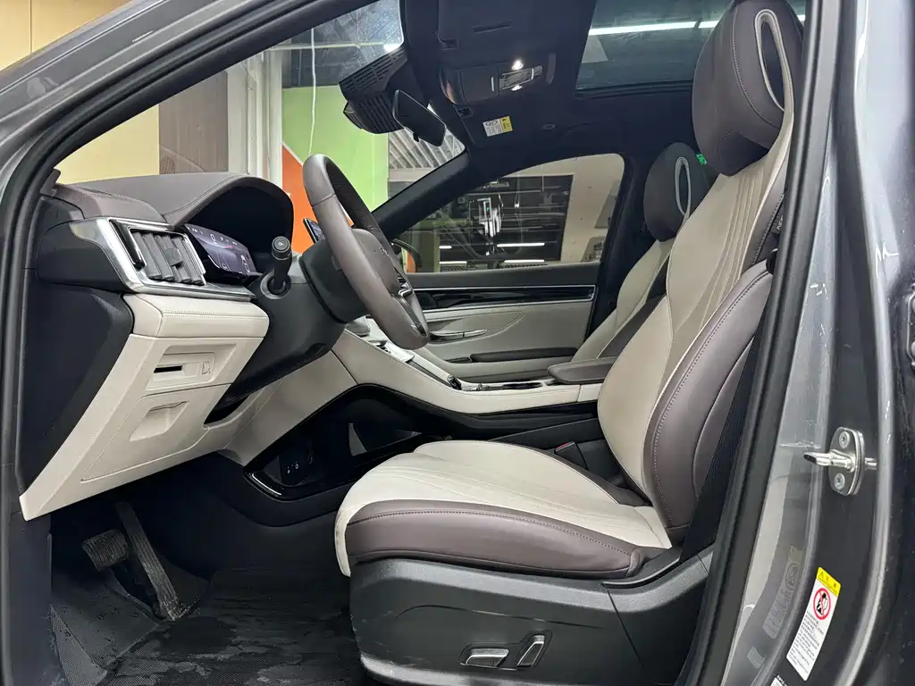 BYD SONGJIANG NEW ENERGY