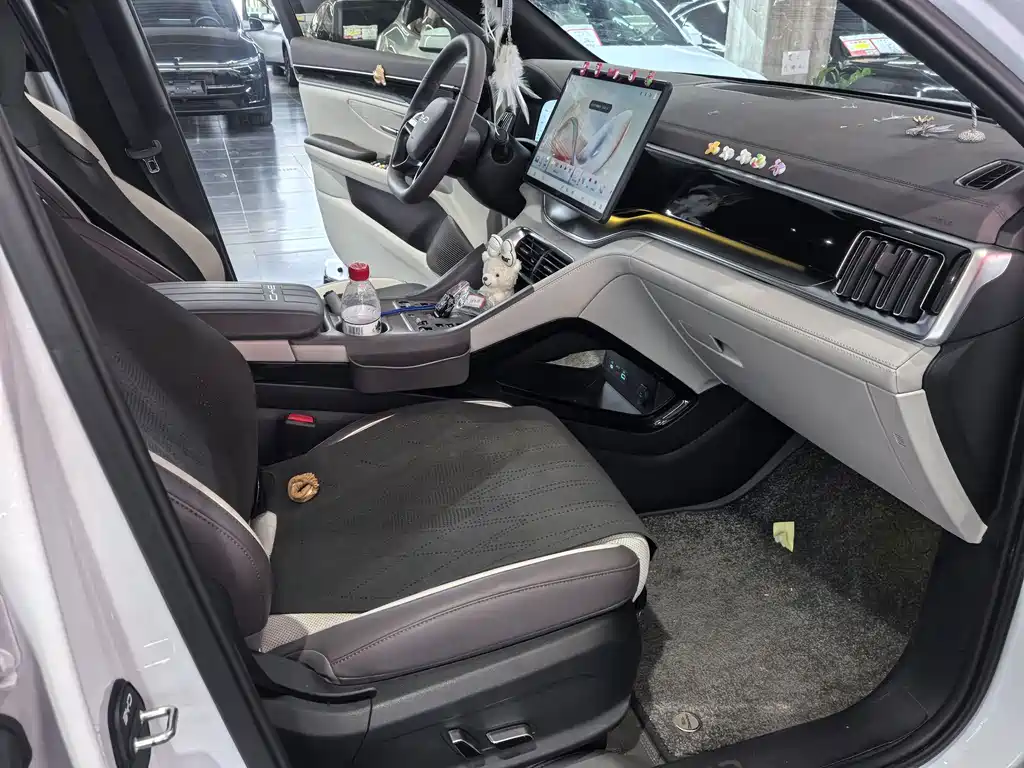 BYD PLUS New Energy — миниатюра 9