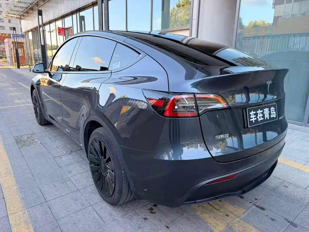 Tesla Model Y — миниатюра 13