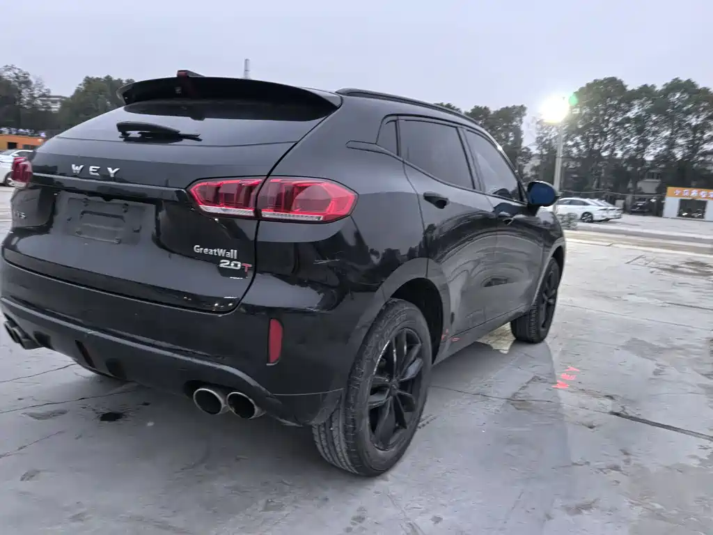 WEI PAI WEI BRAND VV5