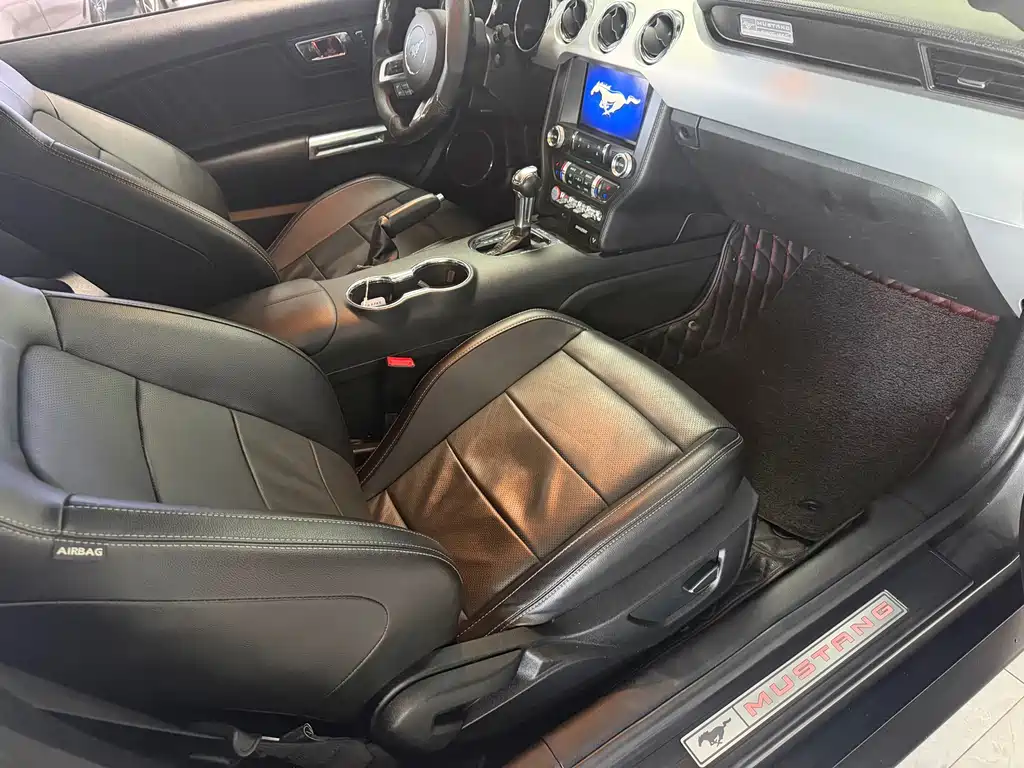 Ford Mustang — миниатюра 12