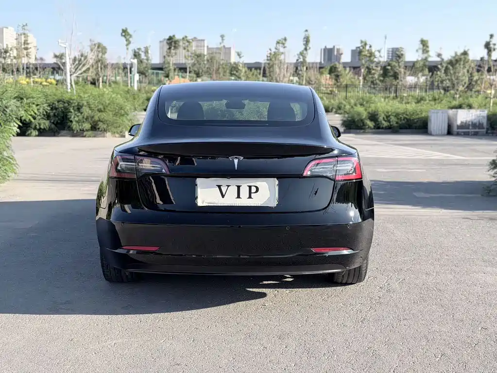 Tesla Model 3 — миниатюра 8