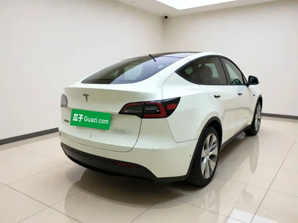 Tesla Model Y — миниатюра 3