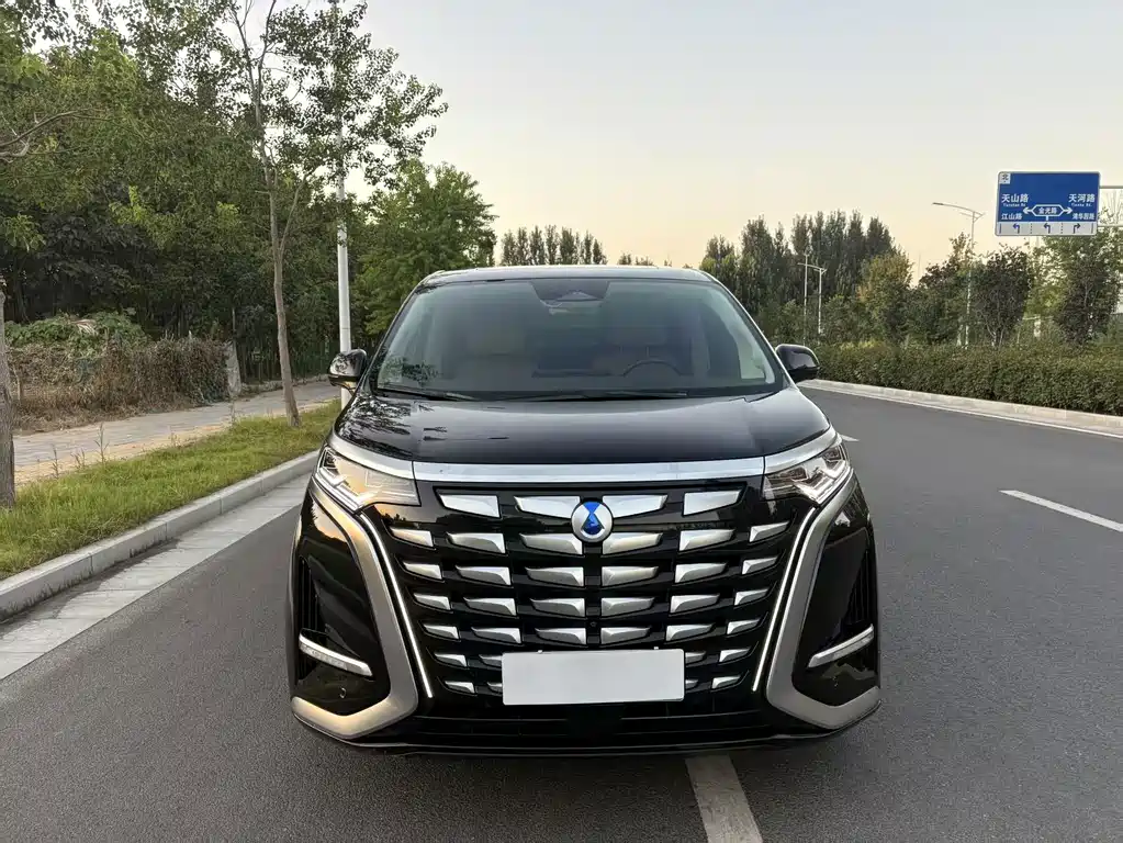 Denza Denza D9 — миниатюра 2