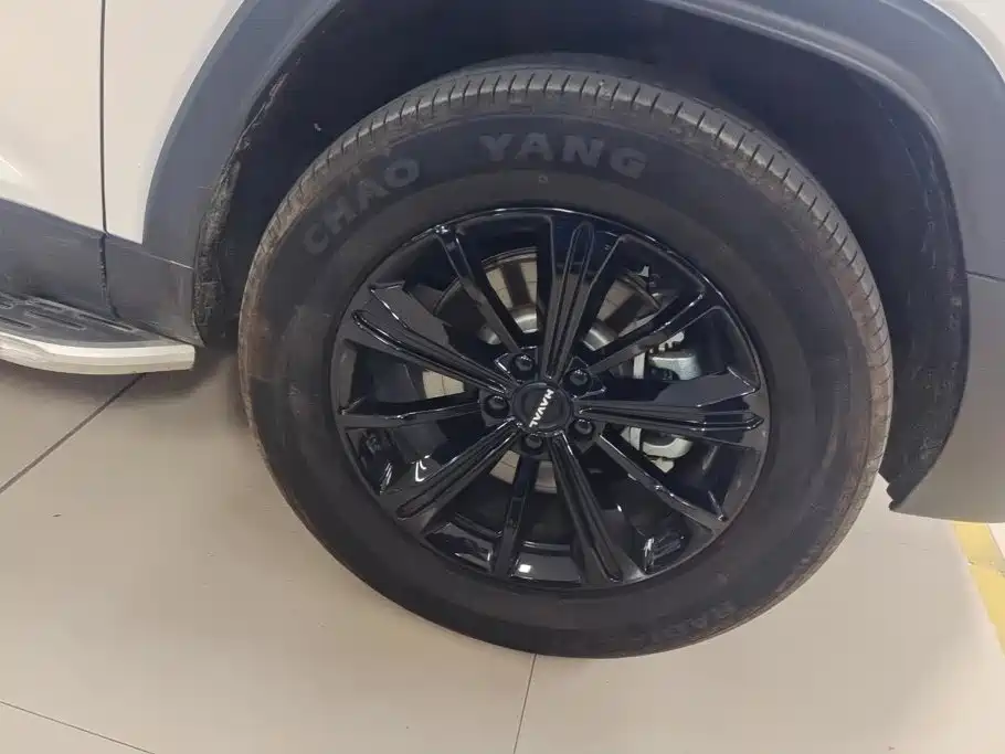Haval Menglong New Energy — миниатюра 6