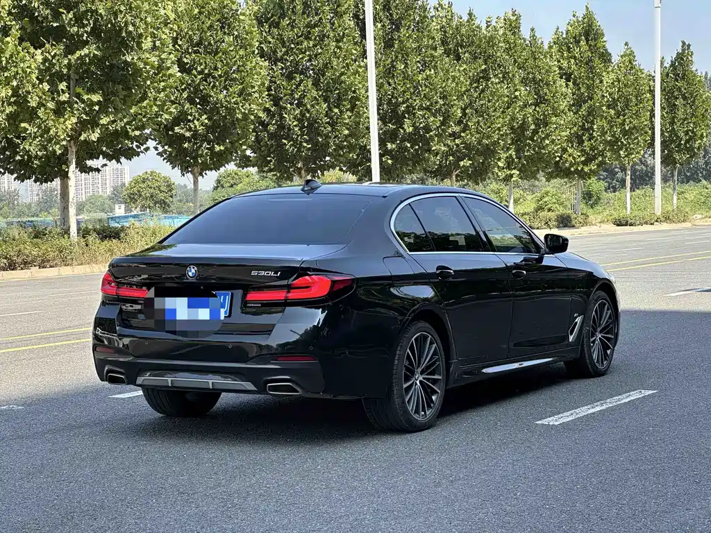 BMW 5 Series — миниатюра 9