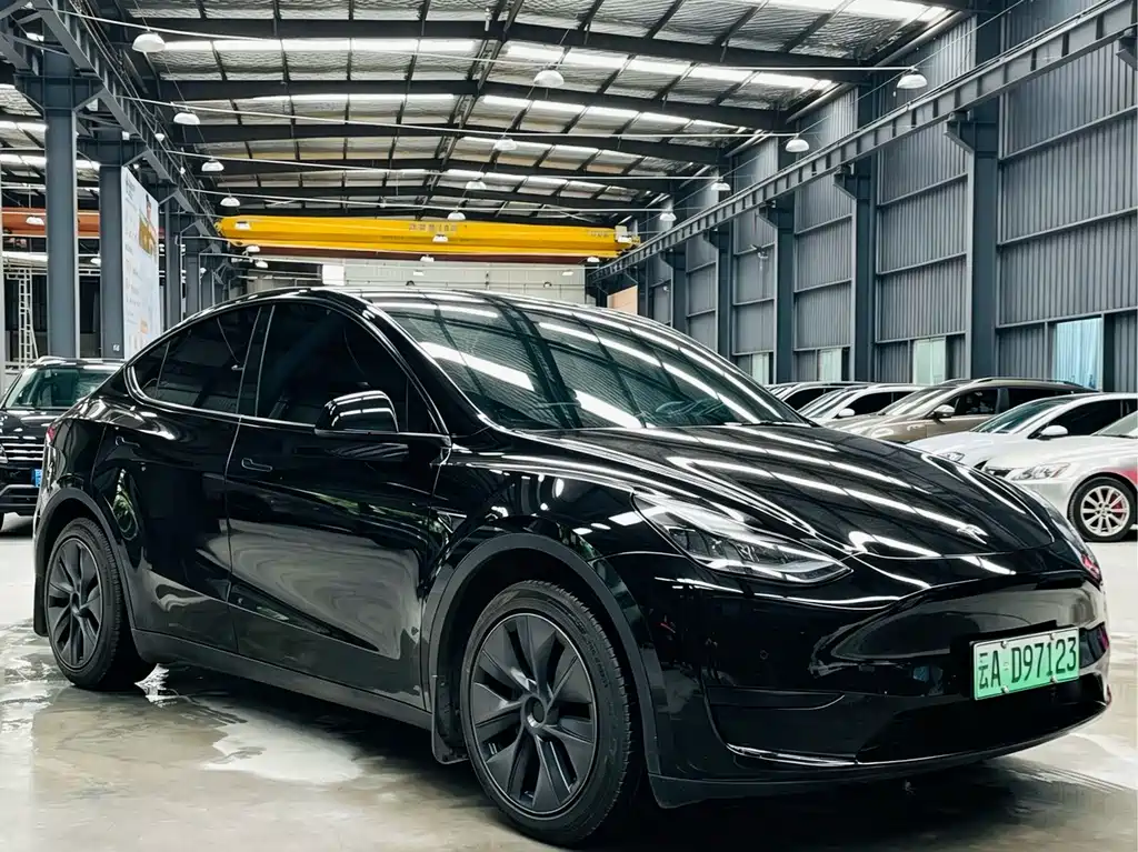 Tesla Model Y — миниатюра 3