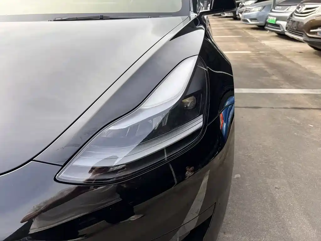 Tesla Model 3 2021 3D6