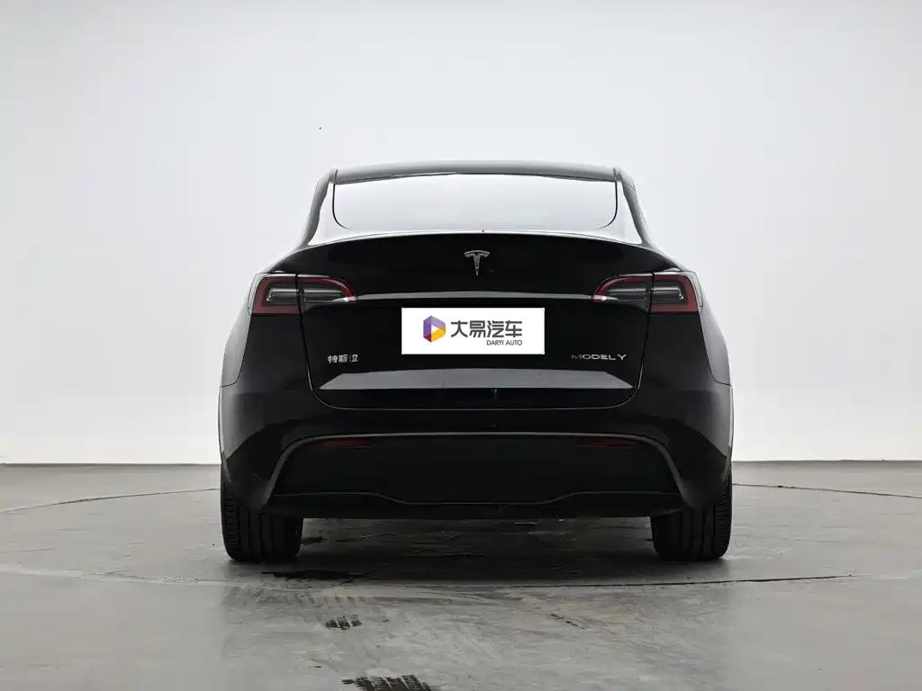 Tesla Model Y — миниатюра 4