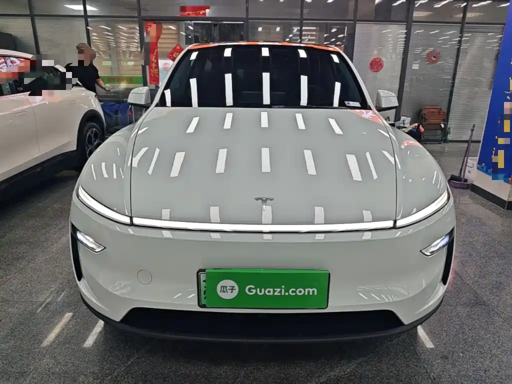 Tesla Model Y — миниатюра 3