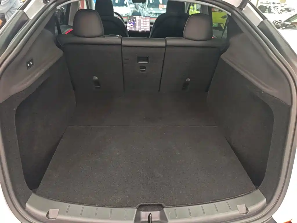 Tesla Model Y — миниатюра 19