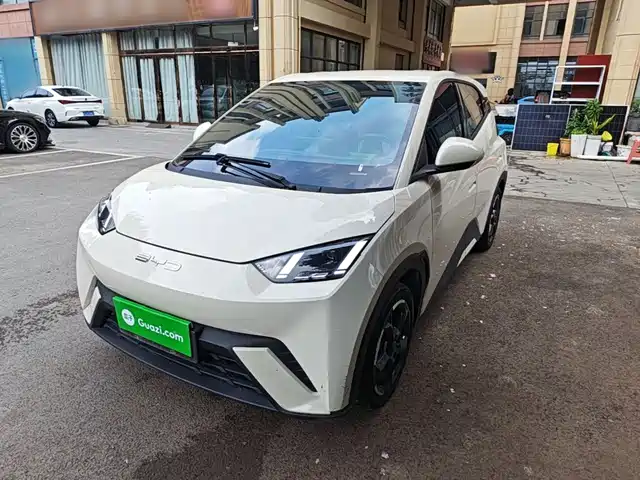 2024 BYD Seagull