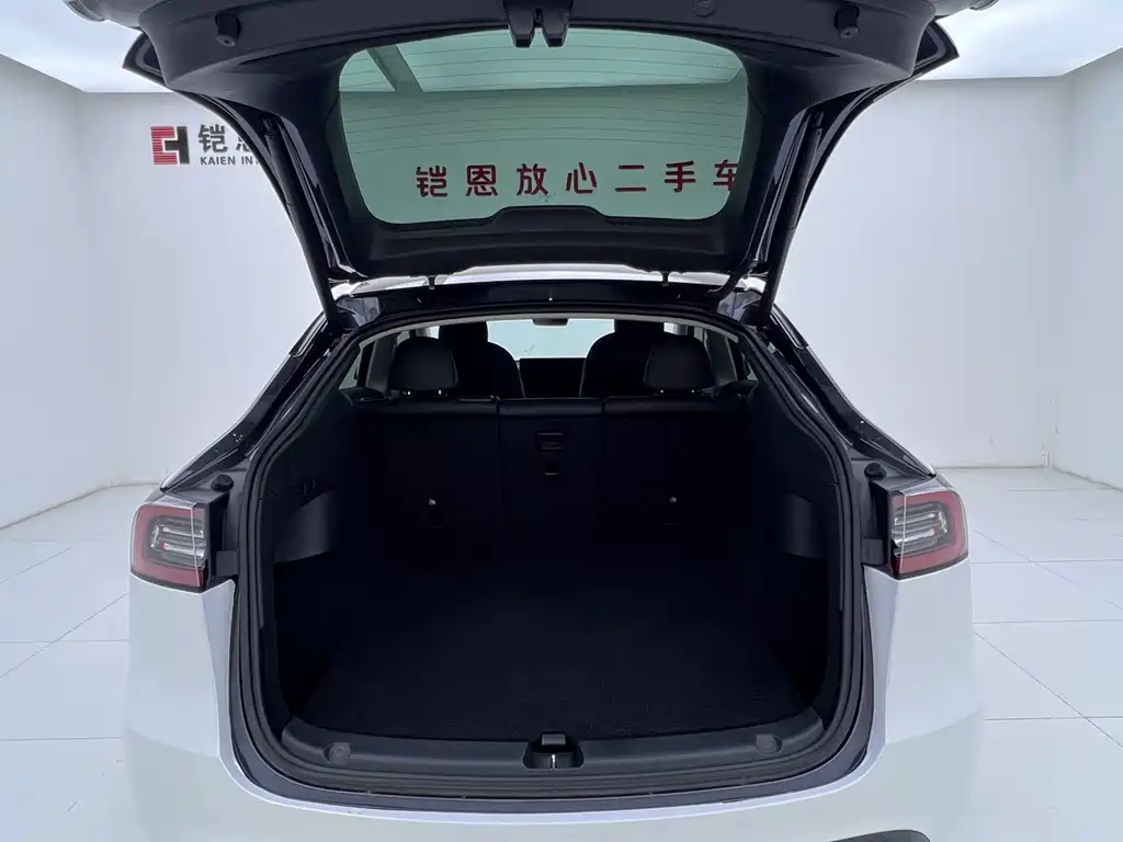 Tesla Model Y — миниатюра 15