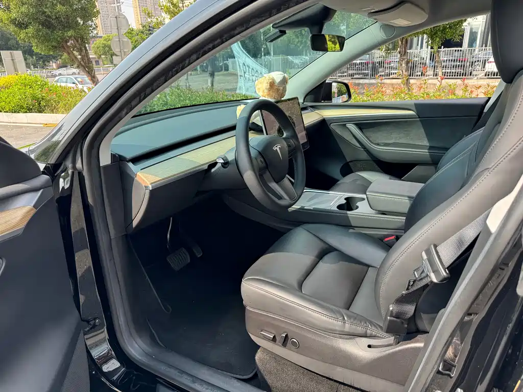 Tesla Model Y — миниатюра 7