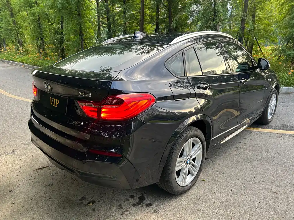 BMW X4 — миниатюра 5