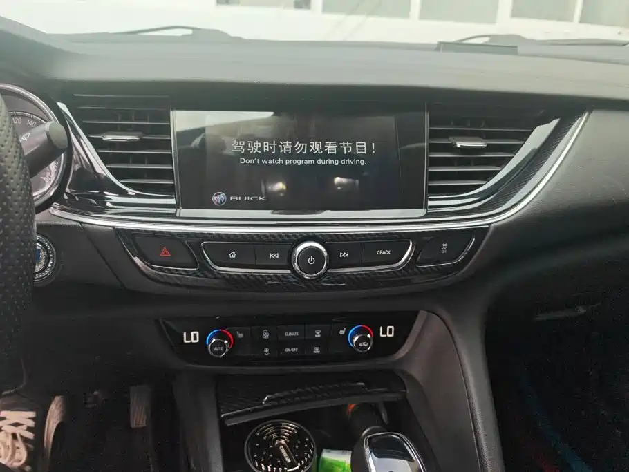 Buick Regal — миниатюра 13