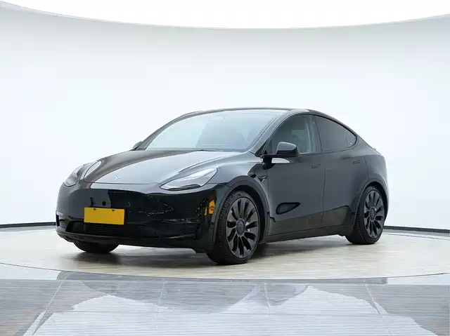 TESLA MODEL Y 2021