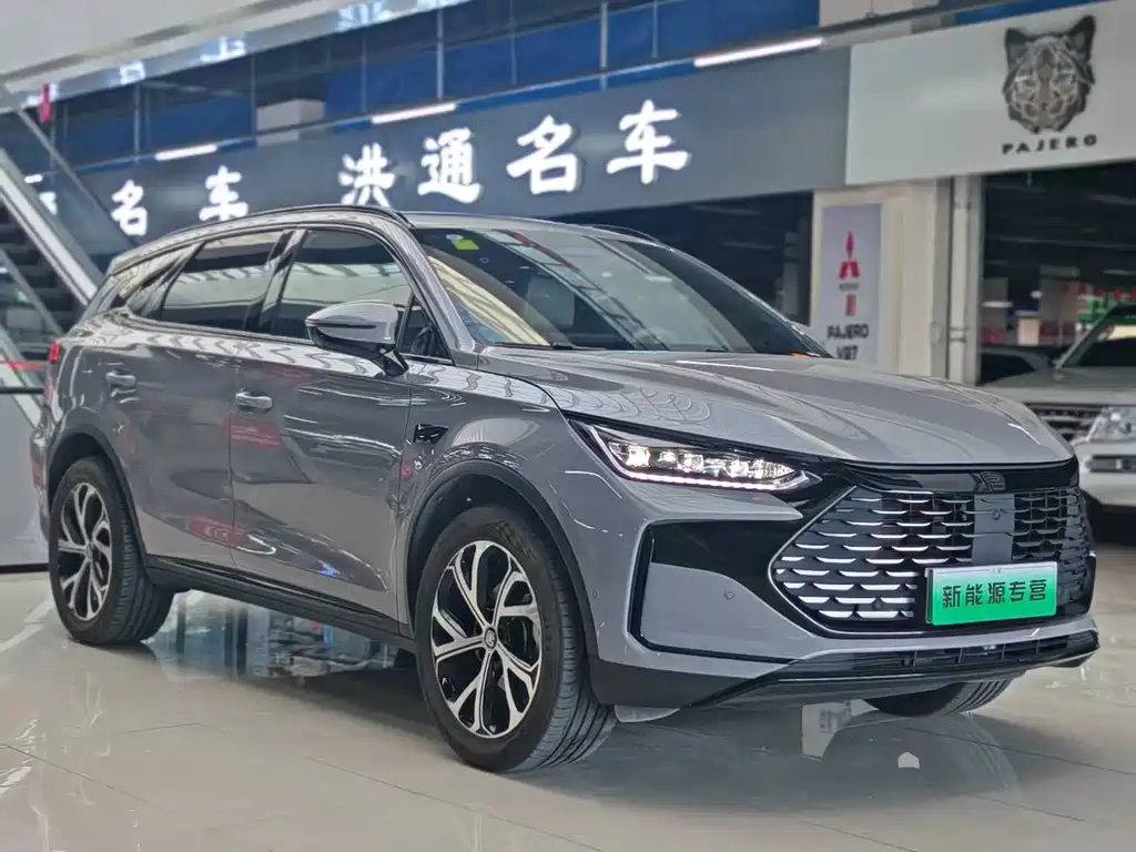 BYD Tang New Energy — миниатюра 2