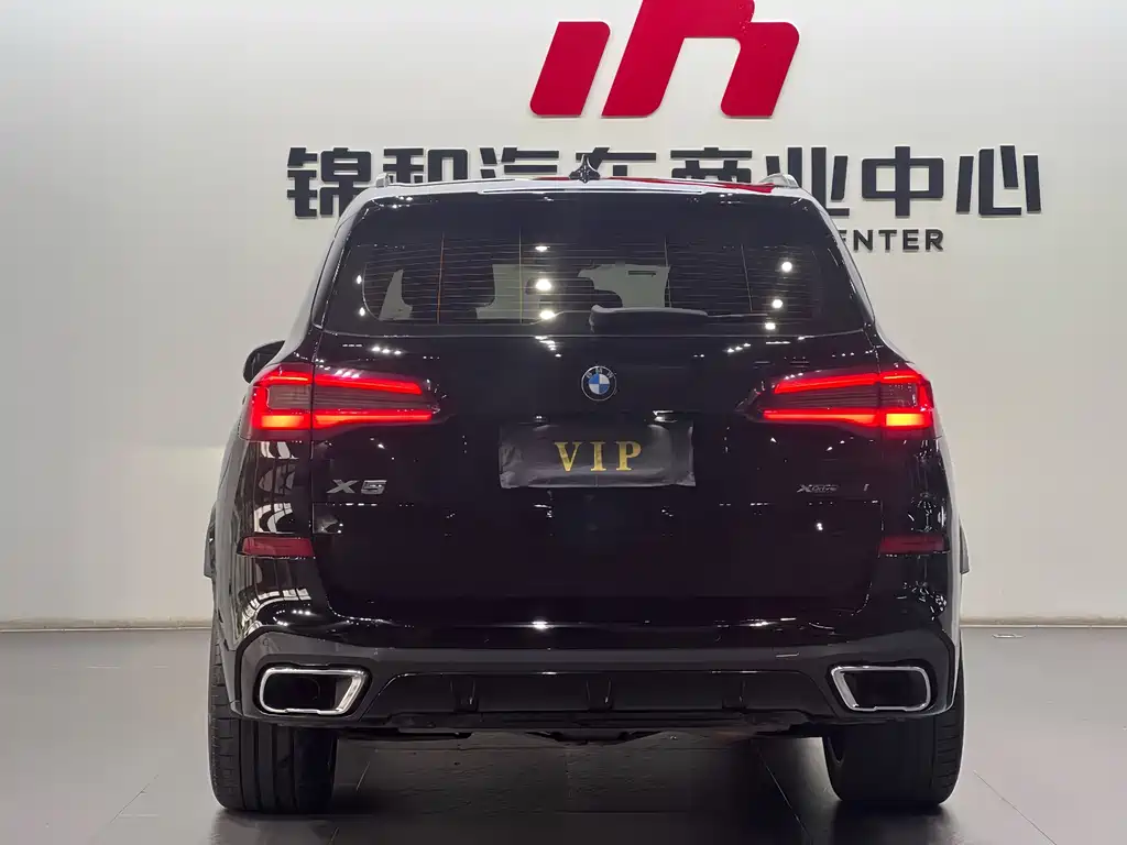 BMW X5 (Import) — миниатюра 5