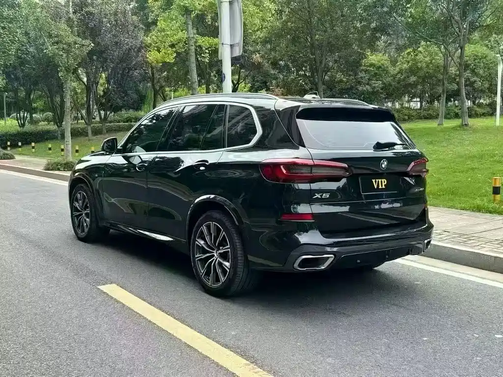 BMW X5 (Import) — миниатюра 10