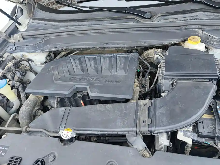 Haval H4 — миниатюра 10