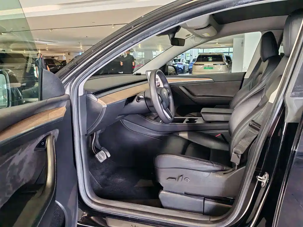 Tesla Model Y — миниатюра 4