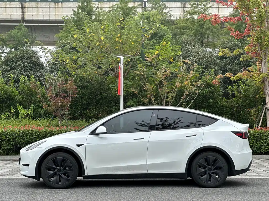 Tesla Model Y — миниатюра 7