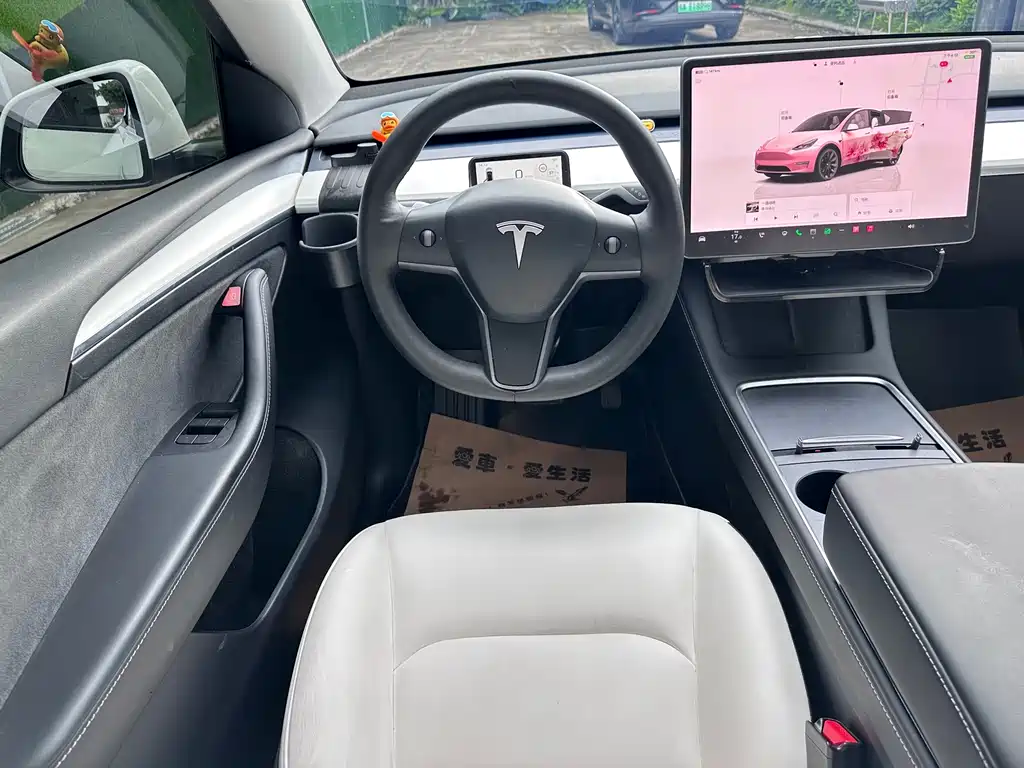 Tesla Model Y — миниатюра 19