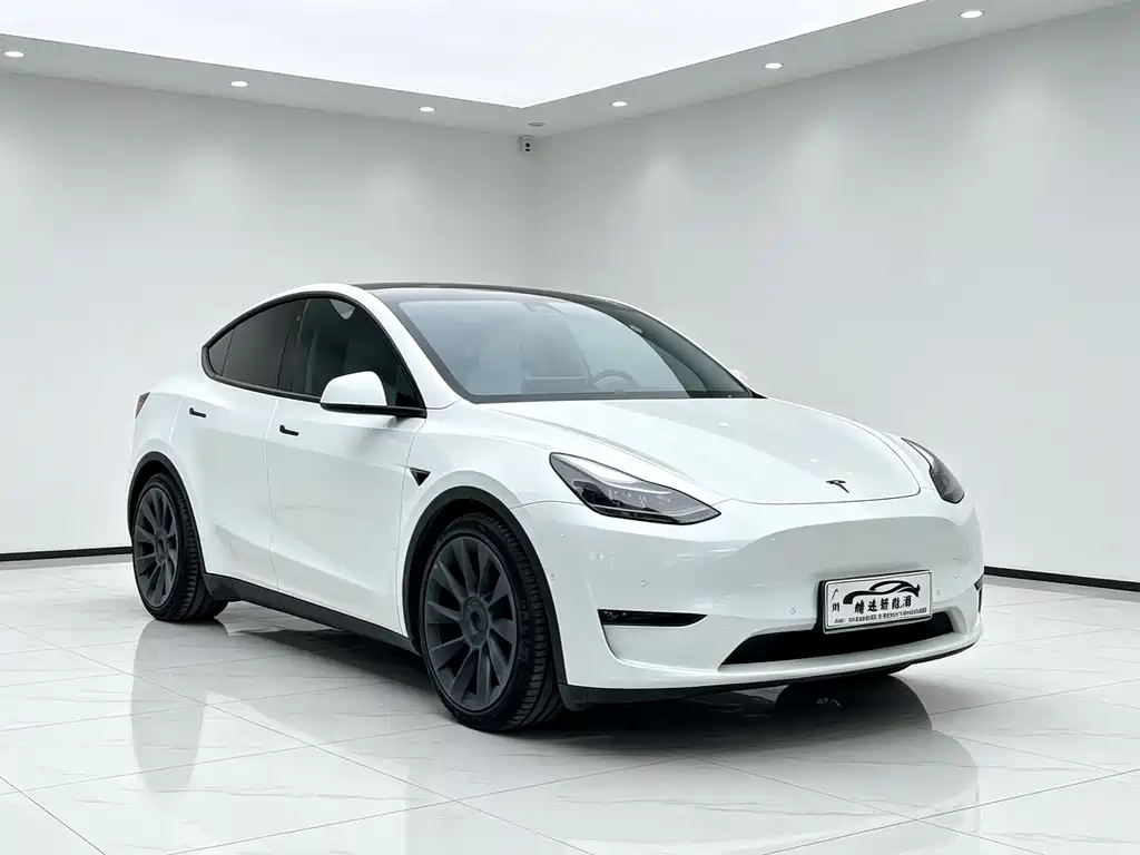 Tesla Model Y — миниатюра 3