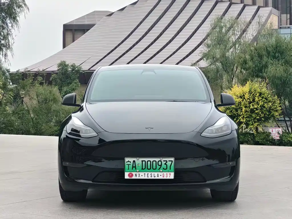 Tesla Model Y — миниатюра 2