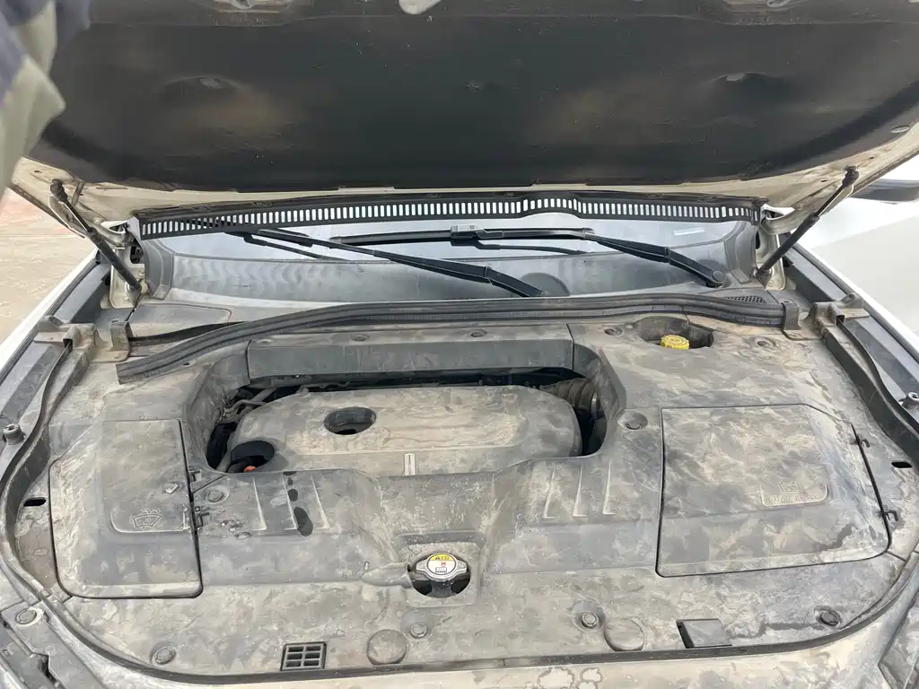 WEI PAI WEI BRAND VV6