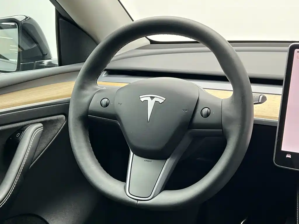 Tesla Model Y — миниатюра 21