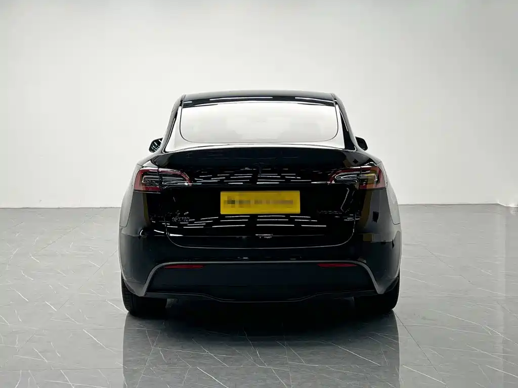 Tesla Model Y — миниатюра 5