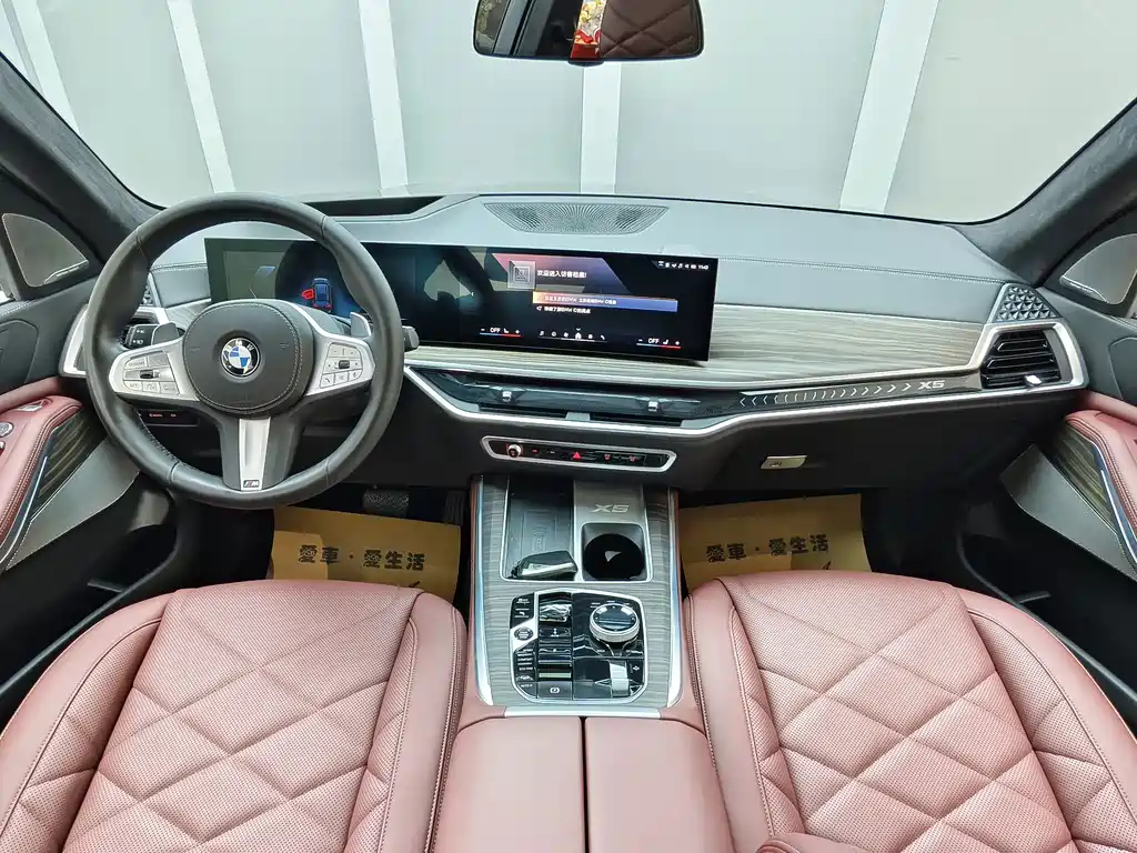BMW X5 — миниатюра 9