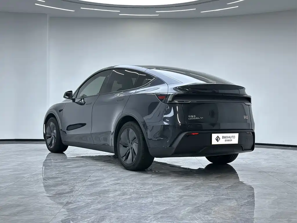 Tesla Model Y — миниатюра 4