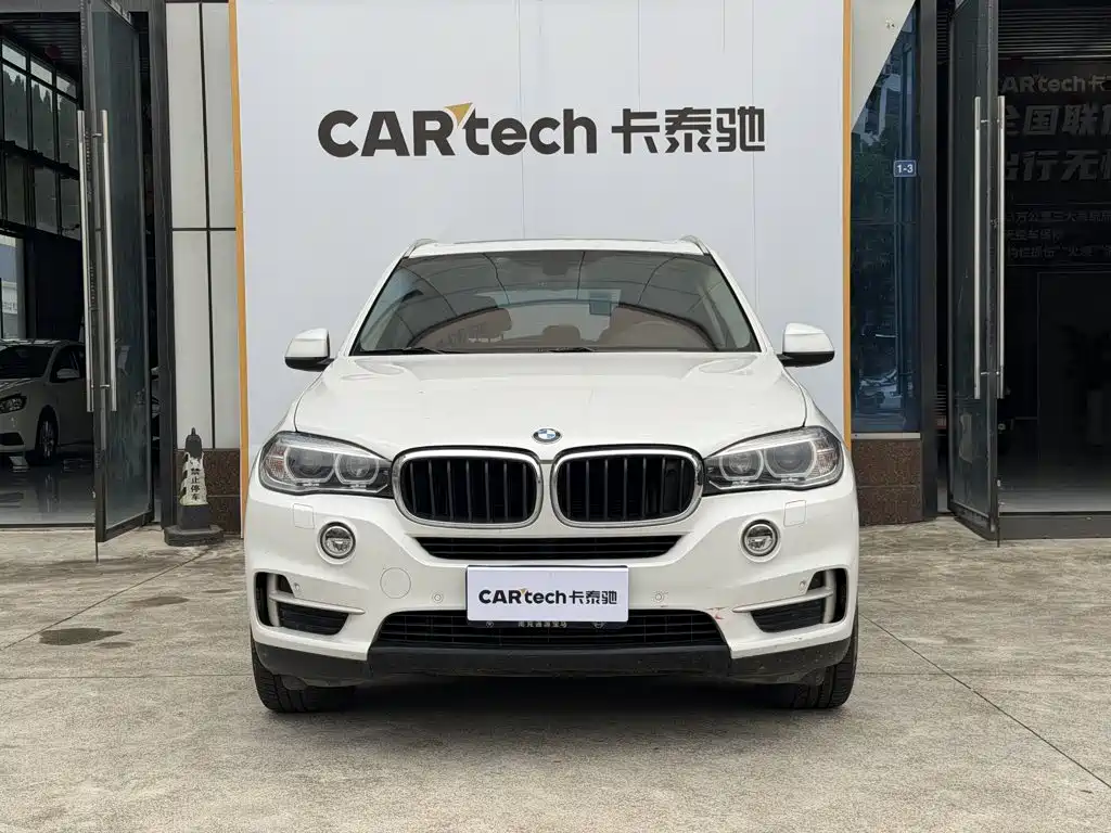 BMW X5 (Import) — миниатюра 2