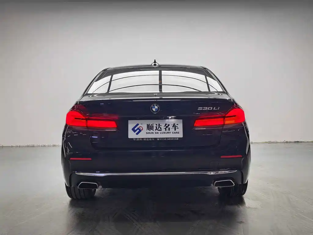 BMW 5 Series — миниатюра 3