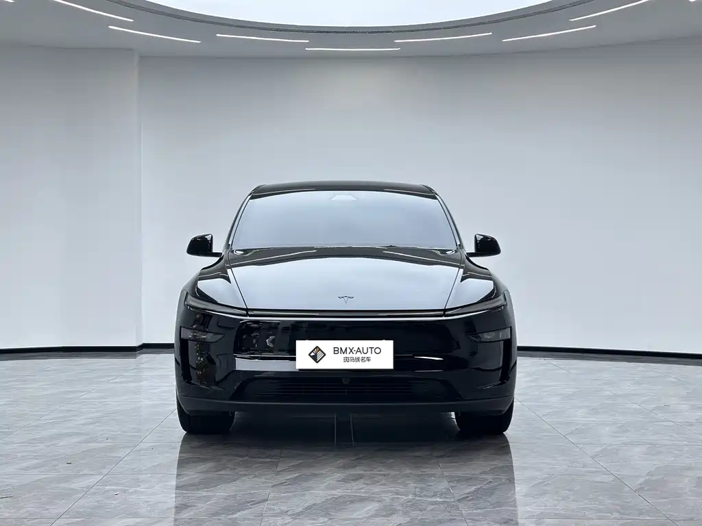 Tesla Model Y L — миниатюра 5
