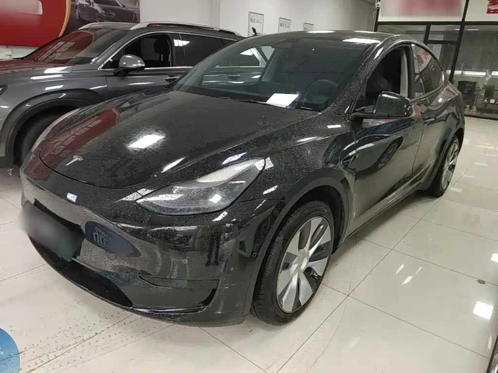 Tesla Model Y — миниатюра 2