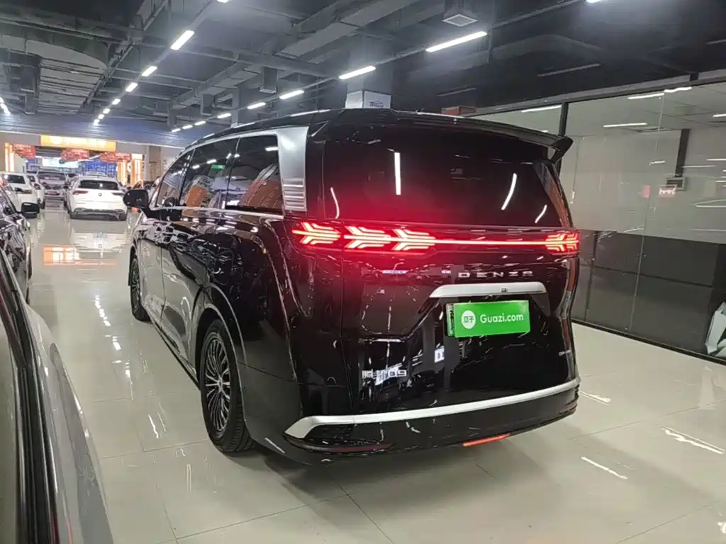 Denza Denza D9 — миниатюра 5