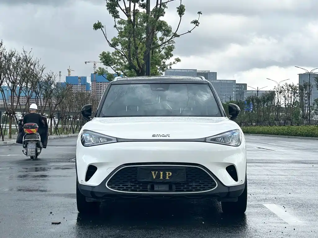 smart Smart #1 — миниатюра 2