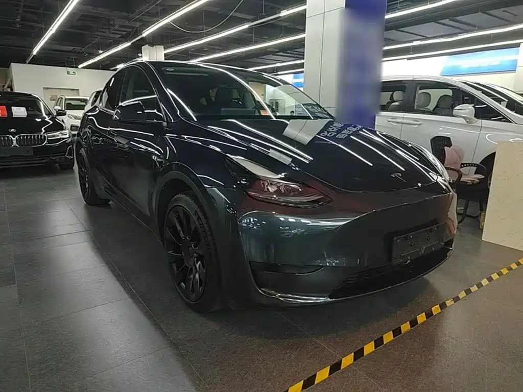 Tesla Model Y — миниатюра 4