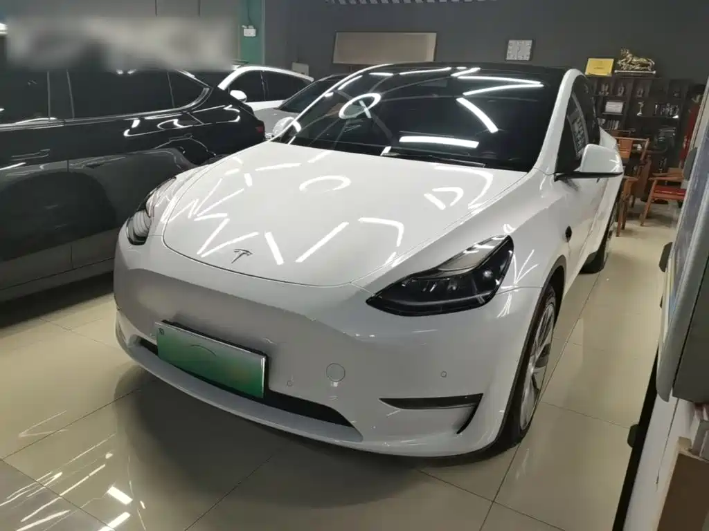 Tesla Model Y — миниатюра 2