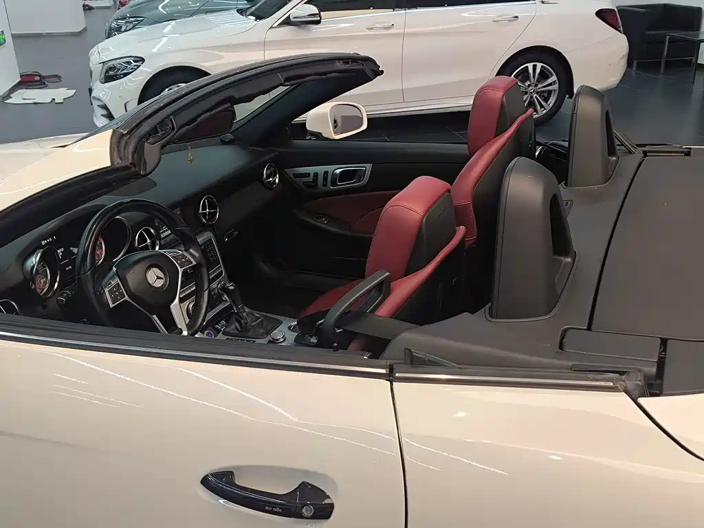 Mercedes-Benz SLK-Class — миниатюра 12